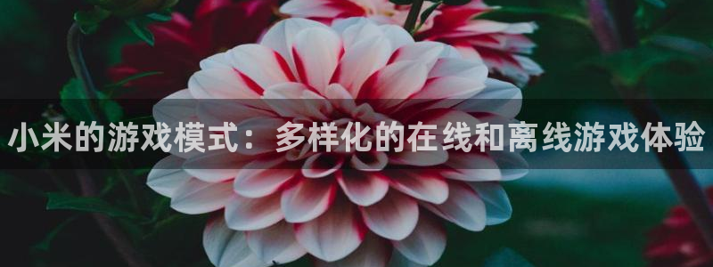 优贝娱乐平台官网登录：小米的游戏模式：多样化的在线和离线游戏