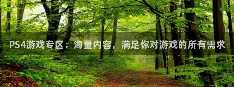 优贝娱乐登陆：PS4游戏专区：海量内容，满足你对游戏的所有需