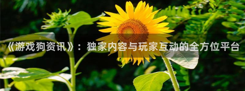 优贝娱乐Ii：《游戏狗资讯》：独家内容与玩家互动的全方位平台