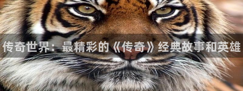 优贝娱乐平台官网入口：传奇世界：最精彩的《传奇》经典故事和英