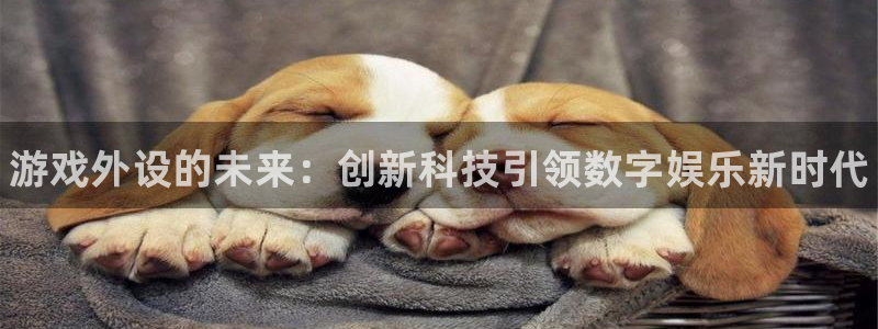 优贝娱乐2登录：游戏外设的未来：创新科技引领数字娱乐新时代