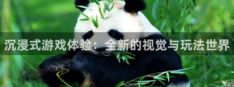 优贝娱乐平台登陆：沉浸式游戏体验：全新的视觉与玩法世界