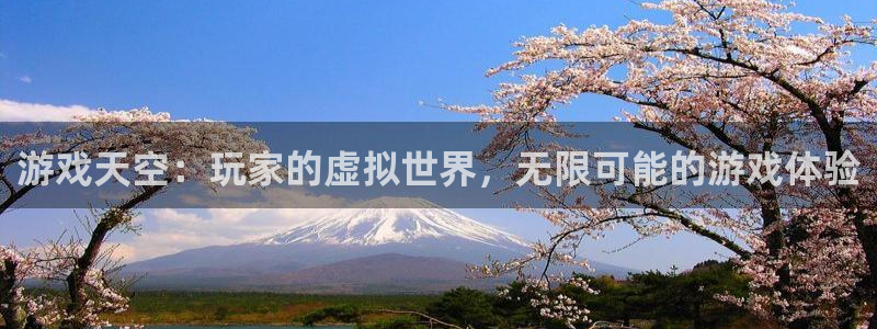 优贝娱乐4招商：游戏天空：玩家的虚拟世界，无限可能的游戏体验
