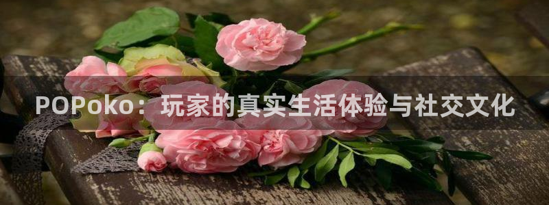 优贝娱乐注册登录：POPoko：玩家的真实生活体验与社交文化