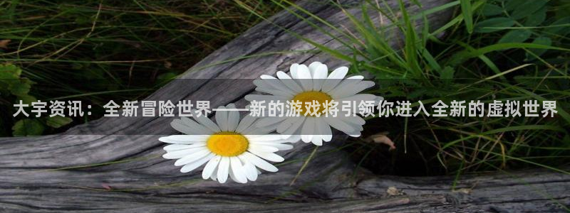 优贝娱乐平台注册开户：大宇资讯：全新冒险世界——新的游戏将引