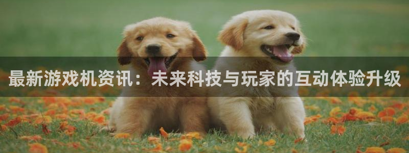 优贝娱乐注册登录平台：最新游戏机资讯：未来科技与玩家的互动体