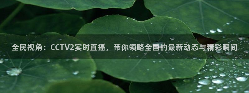 五星体育图标：全民视角：CCTV2实时直播，带你领略全国的最新动态与精彩瞬间