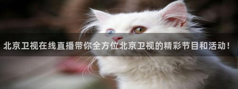 f1直播在线观看五星体育：北京卫视在线直播带你全方位北京卫视的精彩节目和活动！
