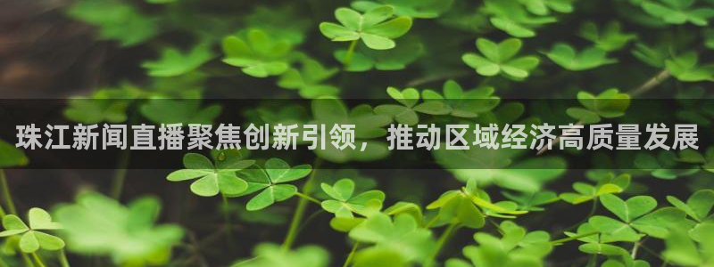 今晚五星体育：珠江新闻直播聚焦创新引领，推动区域经济高质量发展