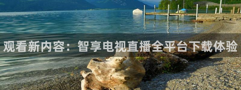 五星体育节目单：观看新内容：智享电视直播全平台下载体验