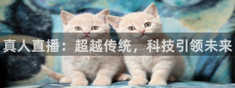 上海五星体育：真人直播：超越传统，科技引领未来