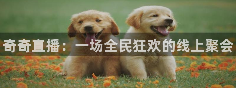 99体育直播五星体育：奇奇直播：一场全民狂欢的线上聚会