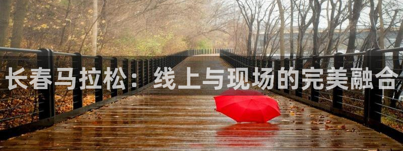 五星体育电视频道：长春马拉松：线上与现场的完美融合