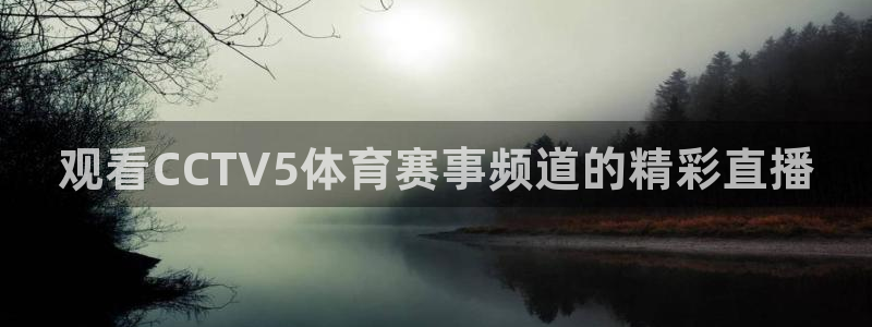 上海五星体育频道节目单表：观看CCTV5体育赛事频道的精彩直播