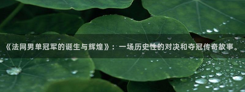 五星体育频道在线直播观看回看：《法网男单冠军的诞生与辉煌》：一场历史性的对决和夺冠传奇故事。