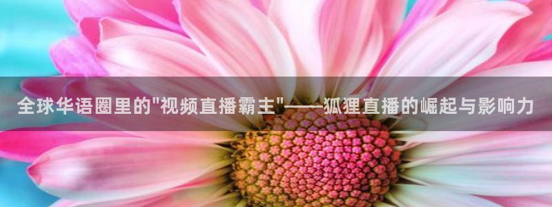 上海五星体育直播在线观看 官方网站：全球华语圈里的\