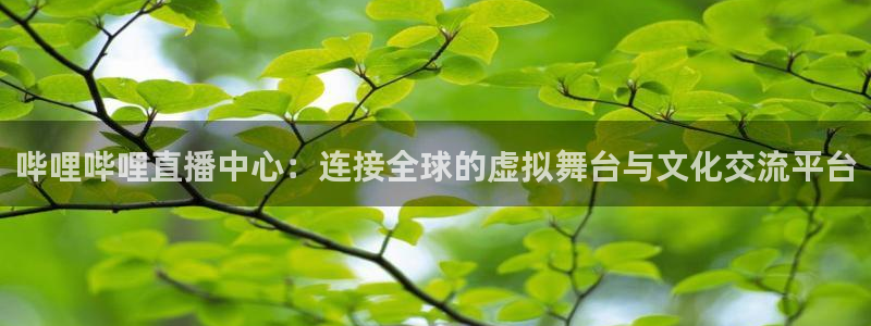 五星体育直播app：哔哩哔哩直播中心：连接全球的虚拟舞台与文化交流平台