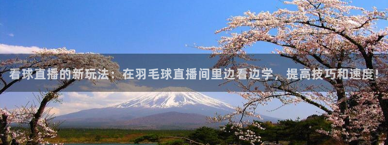 五星体育nfl：看球直播的新玩法：在羽毛球直播间里边看边学，提高技巧和速度!