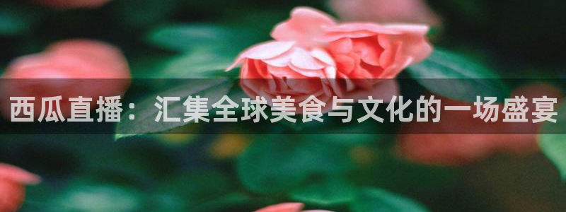 f1直播五星体育回放：西瓜直播：汇集全球美食与文化的一场盛宴
