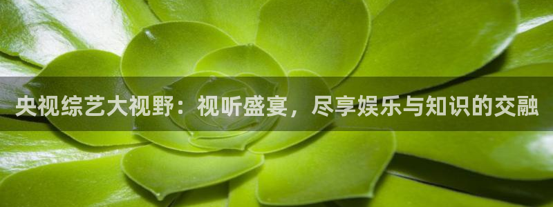 五星体育重播：央视综艺大视野：视听盛宴，尽享娱乐与知识的交融