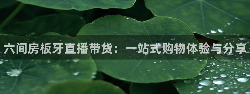 上海五星体育直播回看：六间房板牙直播带货：一站式购物体验与分享