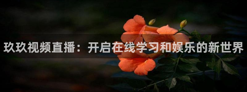 五星体育手机直播：玖玖视频直播：开启在线学习和娱乐的新世界