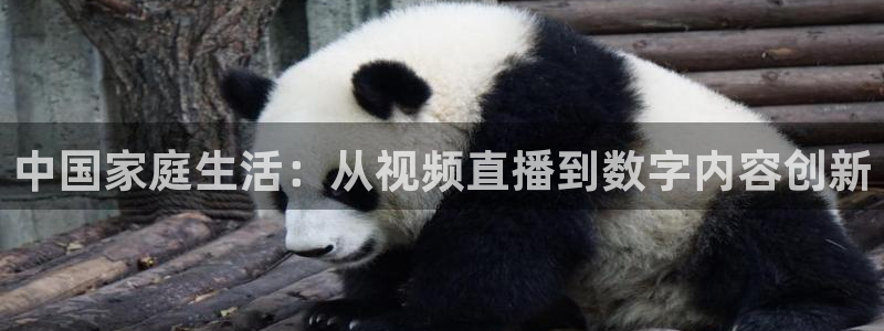 f1五星体育在线高清直播：中国家庭生活：从视频直播到数字内容创新
